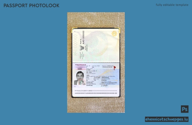 Beispielansicht eines thailändischen Passfotos